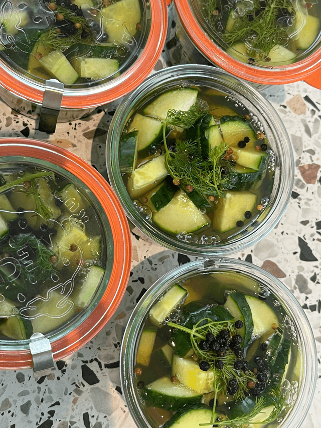 ATELIER LACTO-FERMENTATION
