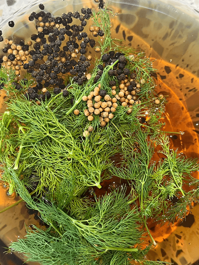 ATELIER LACTO-FERMENTATION