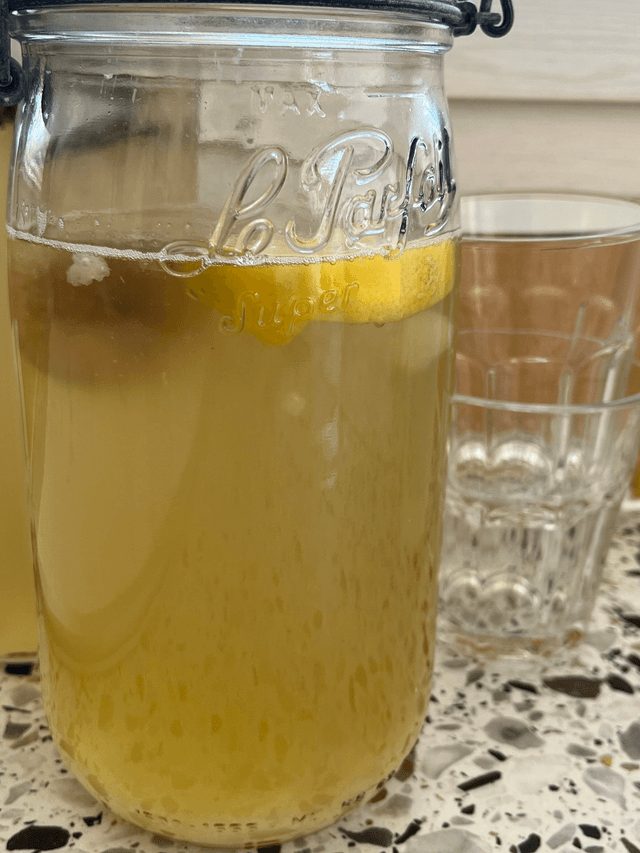 ATELIER KÉFIR & KOMBUCHA