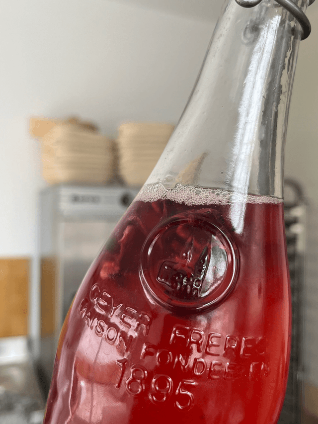 ATELIER KÉFIR & KOMBUCHA