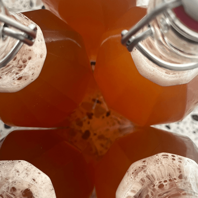 kombucha