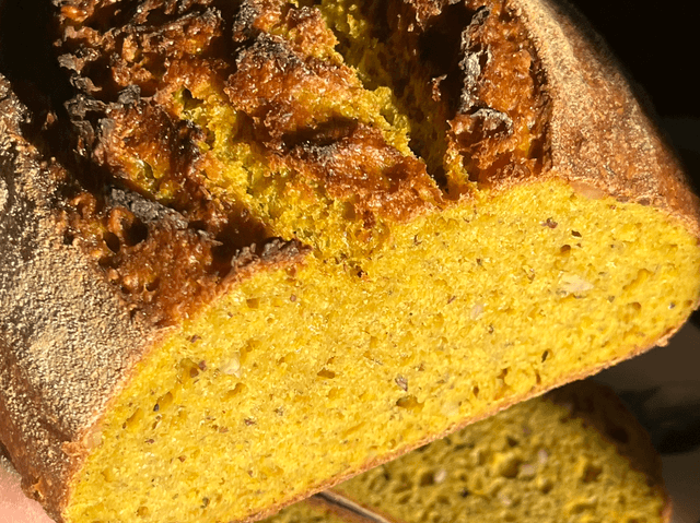 khorasan curcuma-lin-tournesol