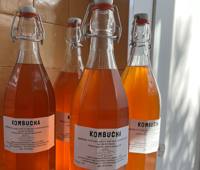 kombucha