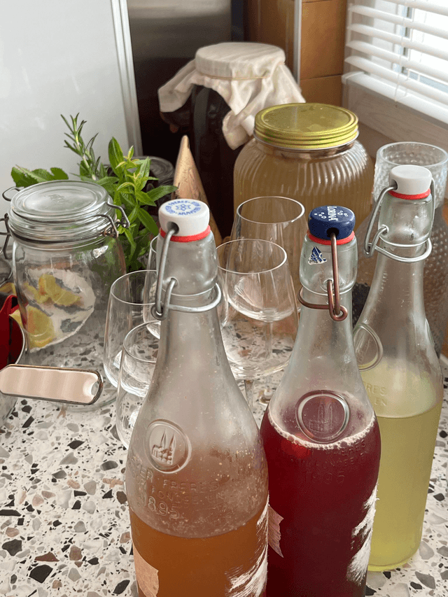 ATELIER KÉFIR & KOMBUCHA